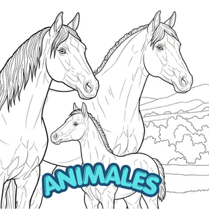 Animales
